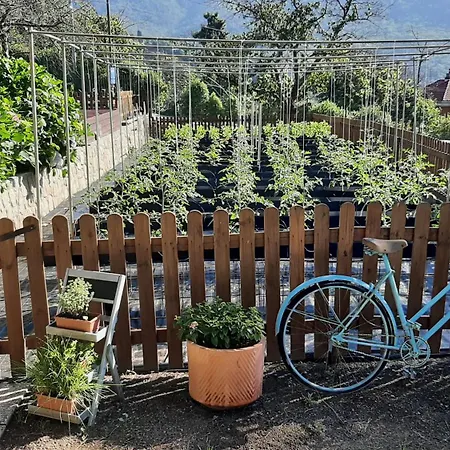 Alloggio per agriturismo Ca' De Angiolina