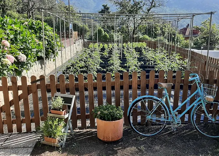 Gospodarstwo agroturystyczne Ca' De Angiolina