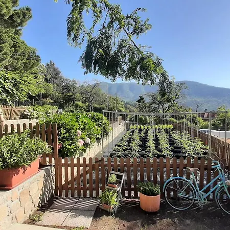 Ca' De Angiolina San Remo